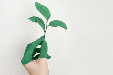 Korepetycje indywidualne